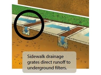 This diagram shows how water flowing across the sidewalk spills through the grates and into the media filter below. From there water soaks into the soil below.
