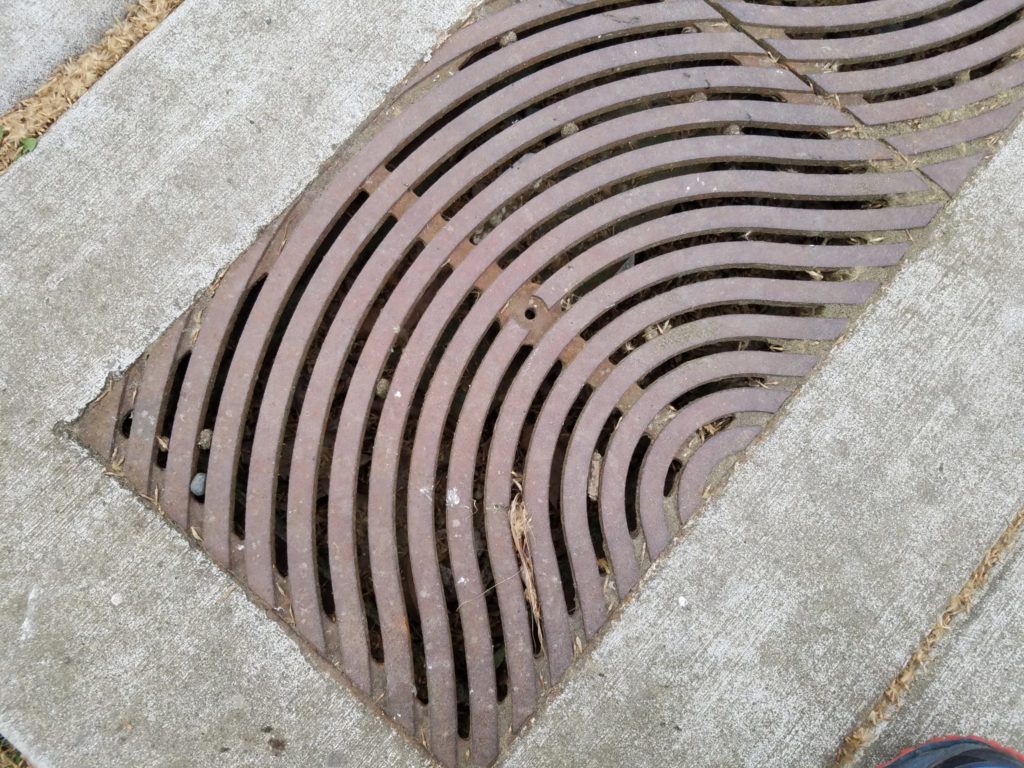 These sidewalk grates has a filter under them that treats runoff by allowing it to reach the media filter below the sidewalk.