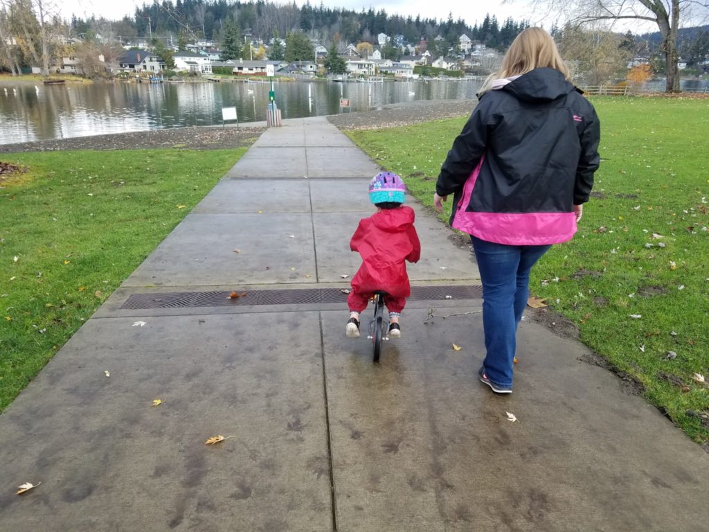 Check out this special sidewalk installed in 2015 that prevents pollution from entering Lake Whatcom.