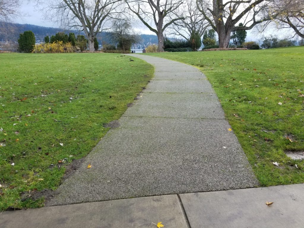 This sidewalk is made of pervious concrete. Rain falling on this sidewalk soaks into the soils below where the pollutants are removed and stormwater is infiltrated.
