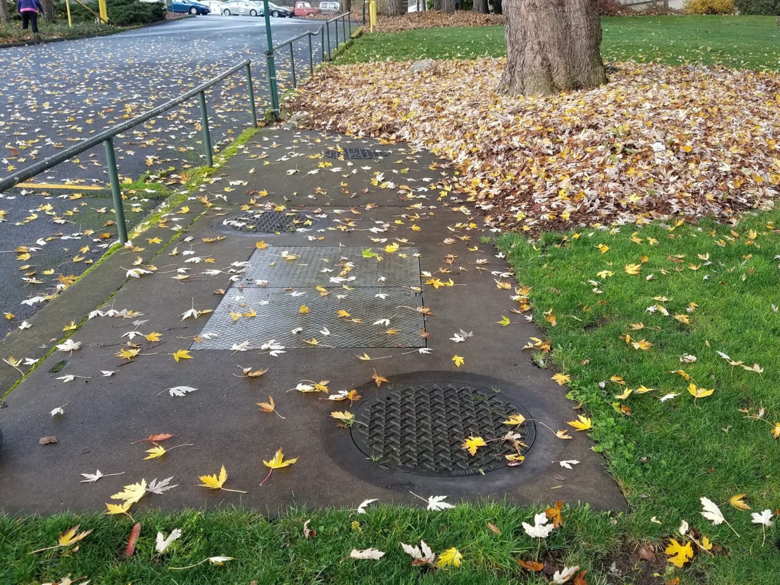 Boat Launch Vault - Stormwater Discovery Tours