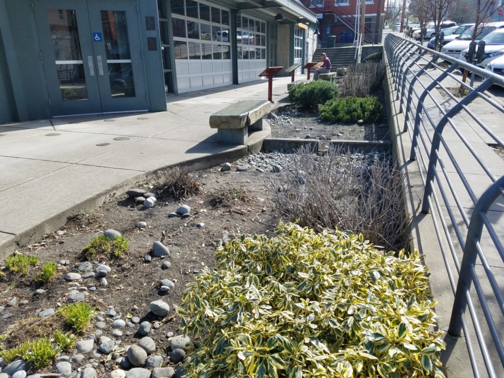 This facility is actually several rain gardens in one. Rocks slow stormwater down so sediment can settle out. Any extra water flows out the drain near the water fountain.