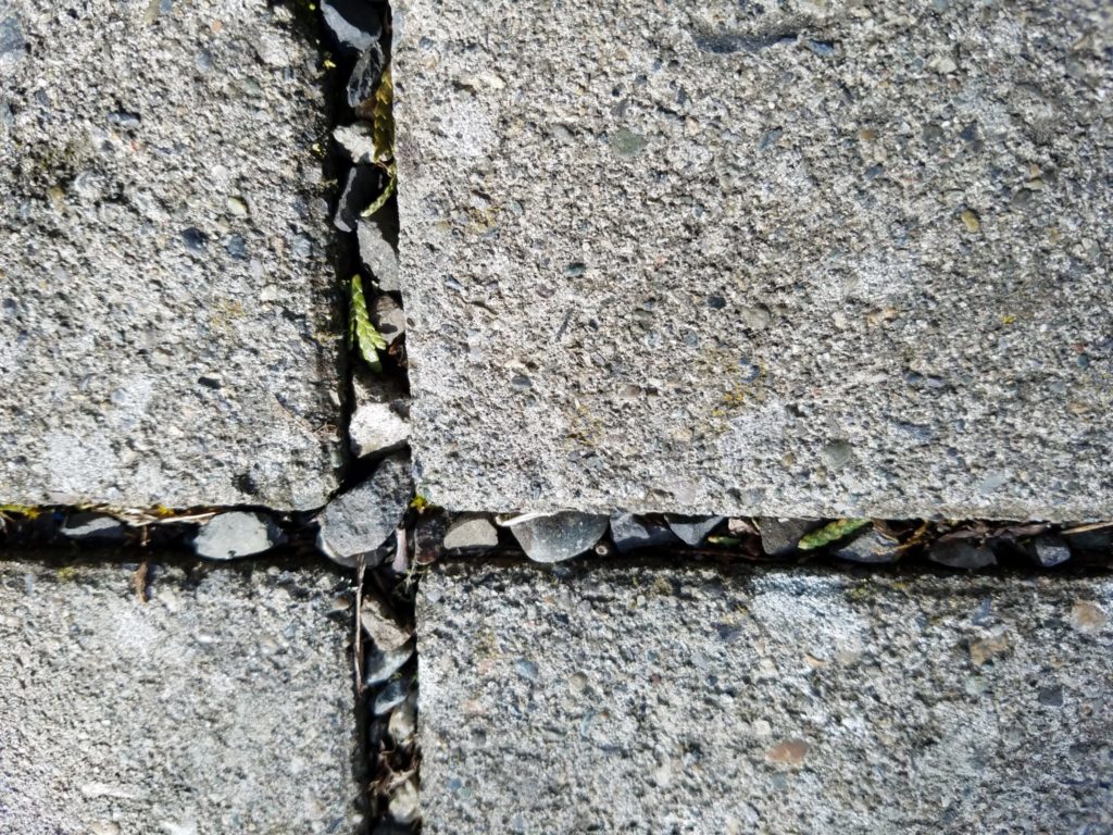 Small pebbles and sand between the paver joints provide drainage and keeps the parking strip dry. The paver concrete itself does not absorb runoff.