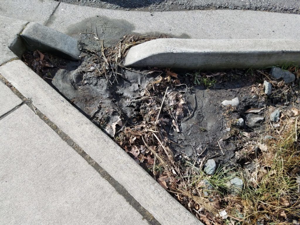 Sediment, grease, and oil that settled here was prevented from entering Whatcom Creek. This sediment is easily cleaned out by city maintenance crew. The curb cut allows runoff in.