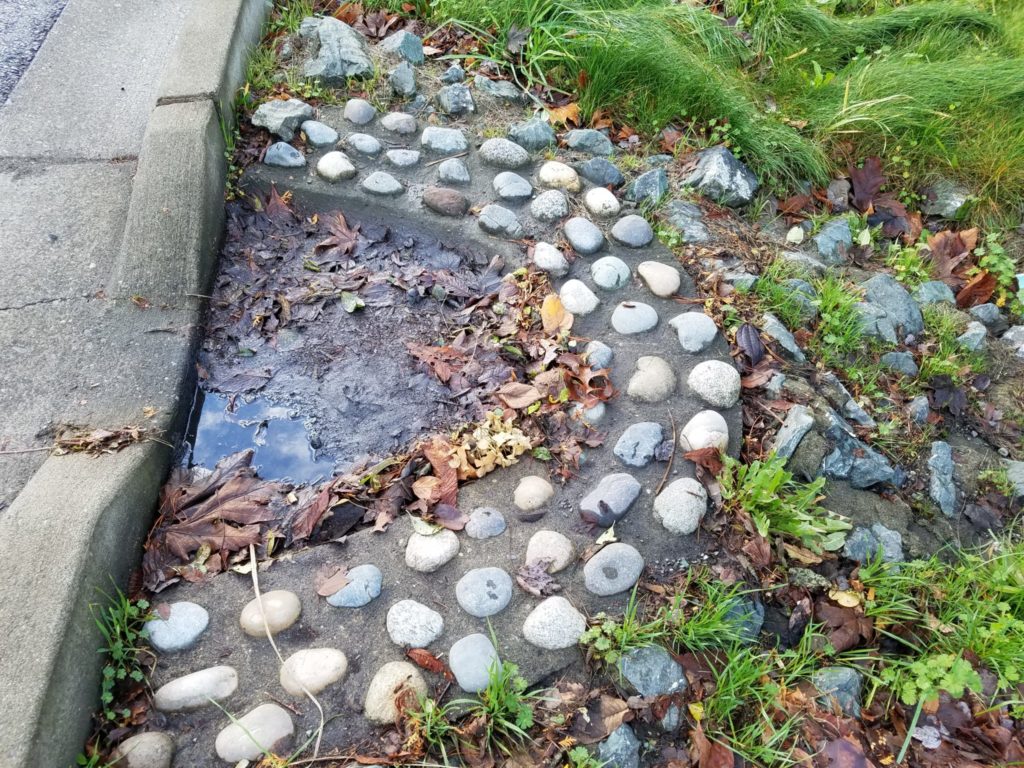This curb cut allows runoff in from the street. The round rocks slow down the runoff which prevents erosion and captures some sediment, leaves, and trash.