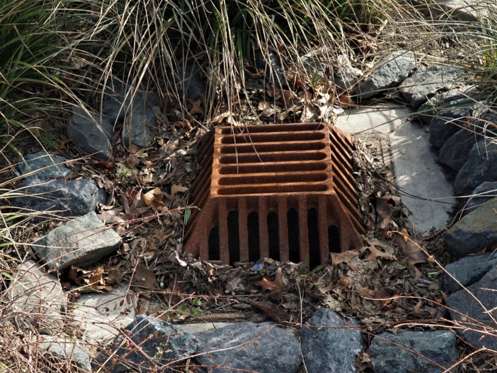The metal grate prevents leaves and larger debris from entering the stormwater system below. A pipe directs treated stormwater under Cornwall Avenue to an outfall above Whatcom Creek under the bridge.