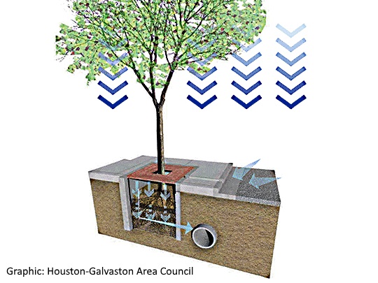 Here is an example of a stormwater planter box with a street tree showing the flow of runoff from the street to the soil media, and then away though a pipe.