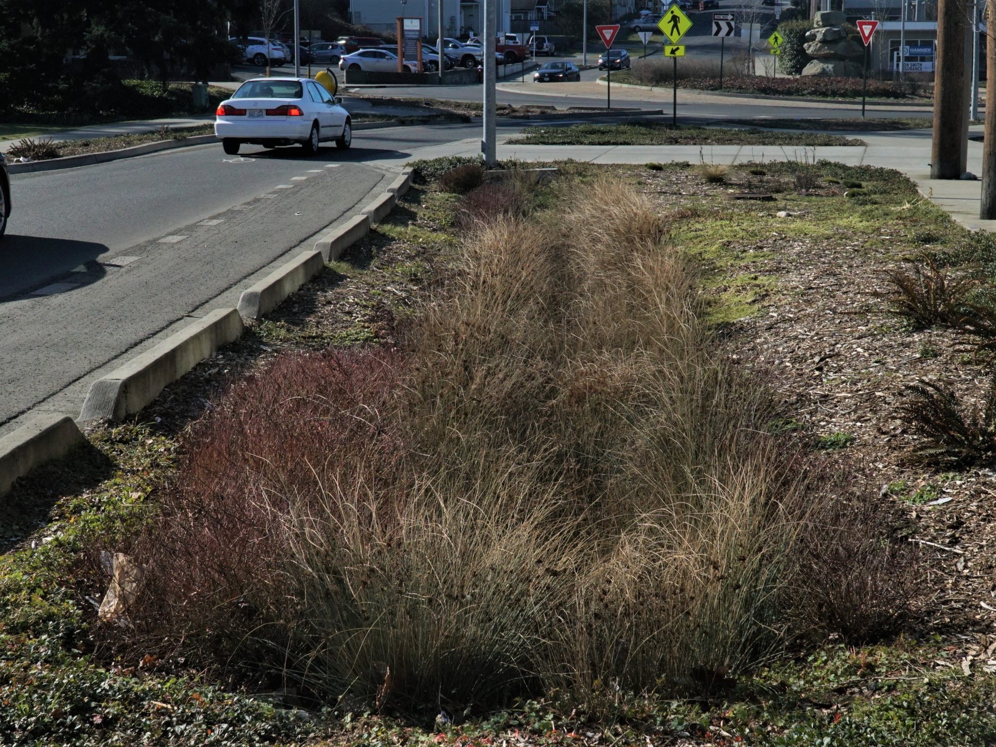 This bioswale was incorporated into the design for the nearby roundabout. It helps to beautify the intersection, improve safety, and treat stormwater runoff.