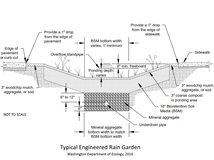 This engineered rain garden stores and treats water with a combination of compost, specially formulated soils, and mineral material. Runoff flows out through the under-drain.