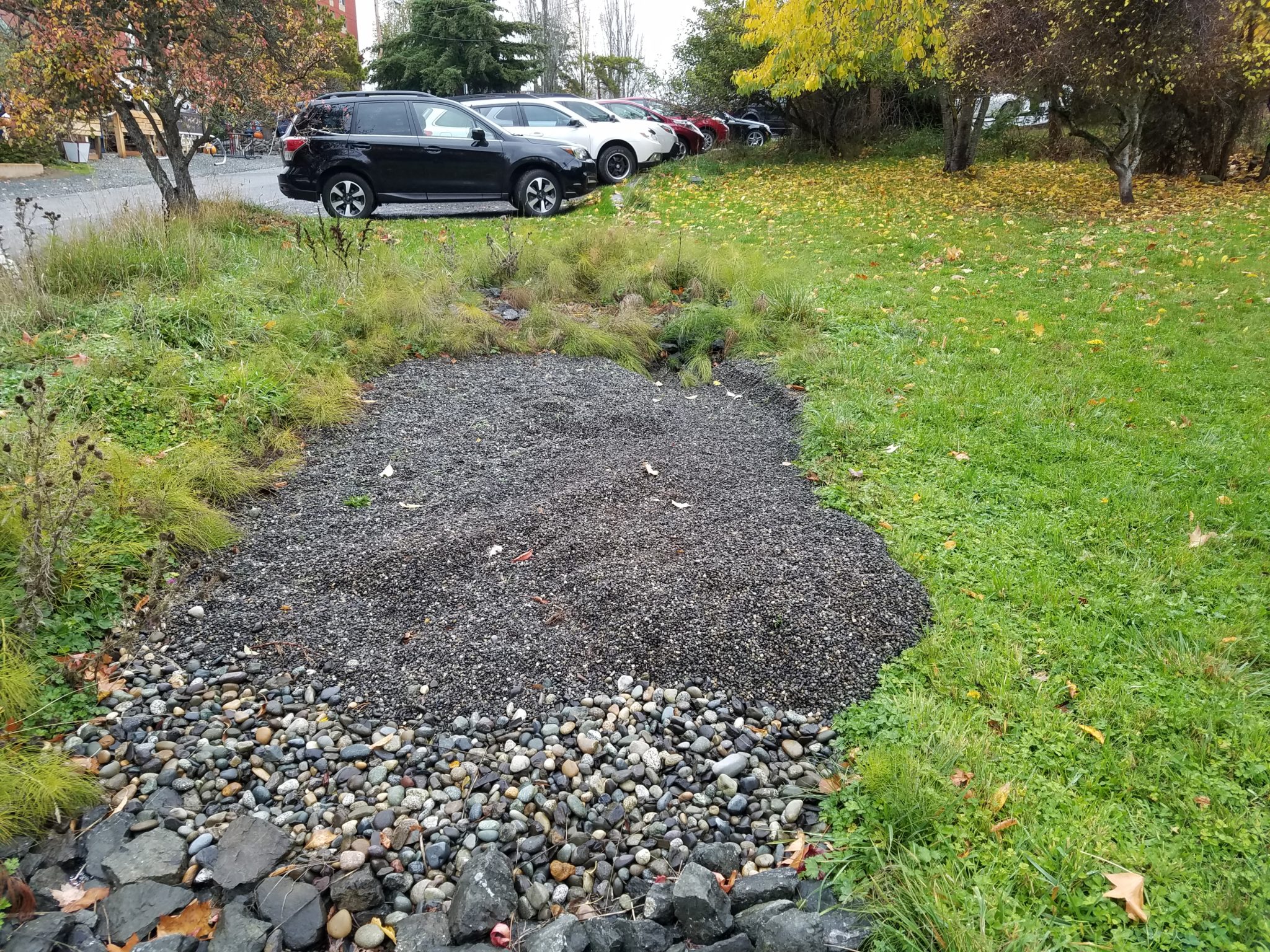 The gravel trail surface is too hard to soak up rainwater, so the runoff flows off the gravel instead and into the linear rain garden on the left.
