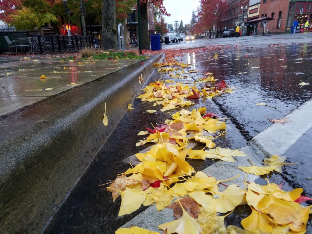 Stormwater runoff captures many things from streets including oils, sediment, garbage, and leaves as shown here on Harris Avenue in Fairhaven.