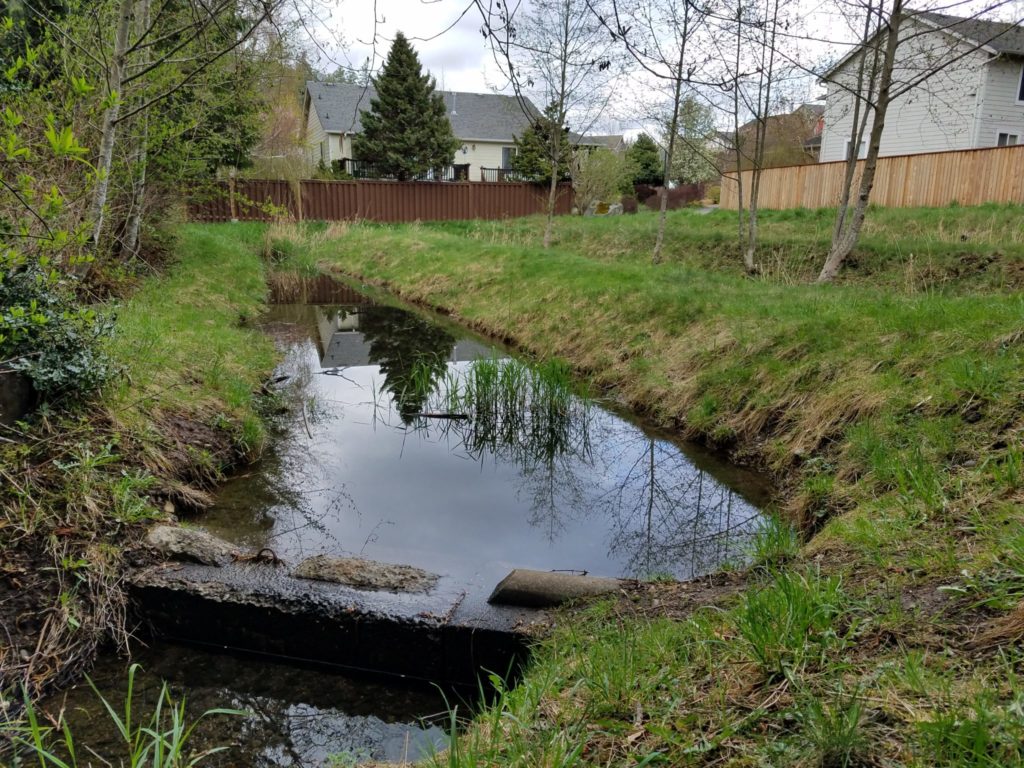 This snake-shaped feature alongside the Klipsun Trail captures runoff from Brandywine Court and eventually flows to St. Clair Pond and out Fever Creek.