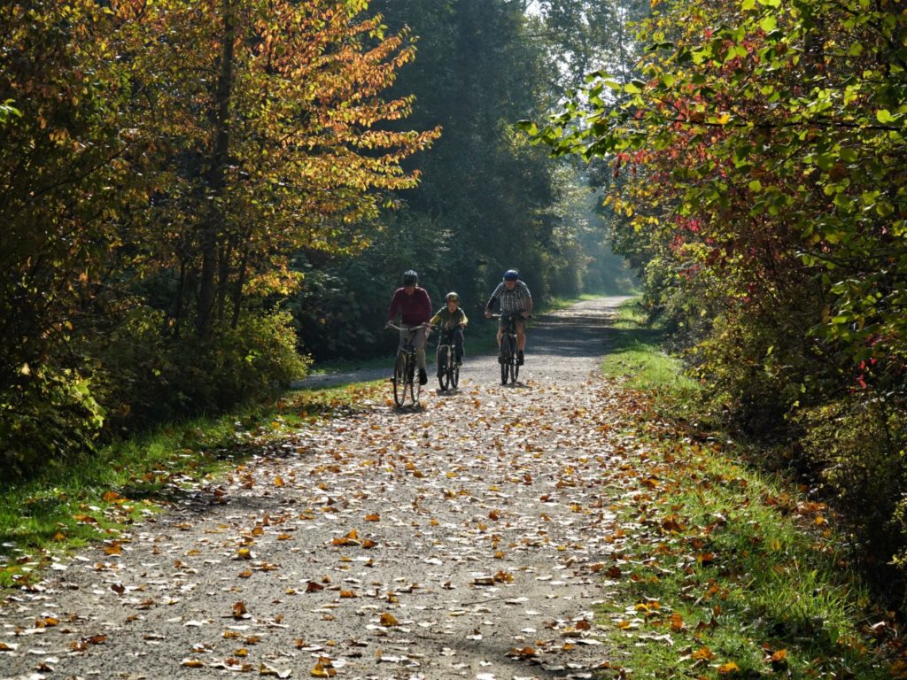 The Barkley Trails Tour makes a great outing for all ages and is accessible on foot or by bike.