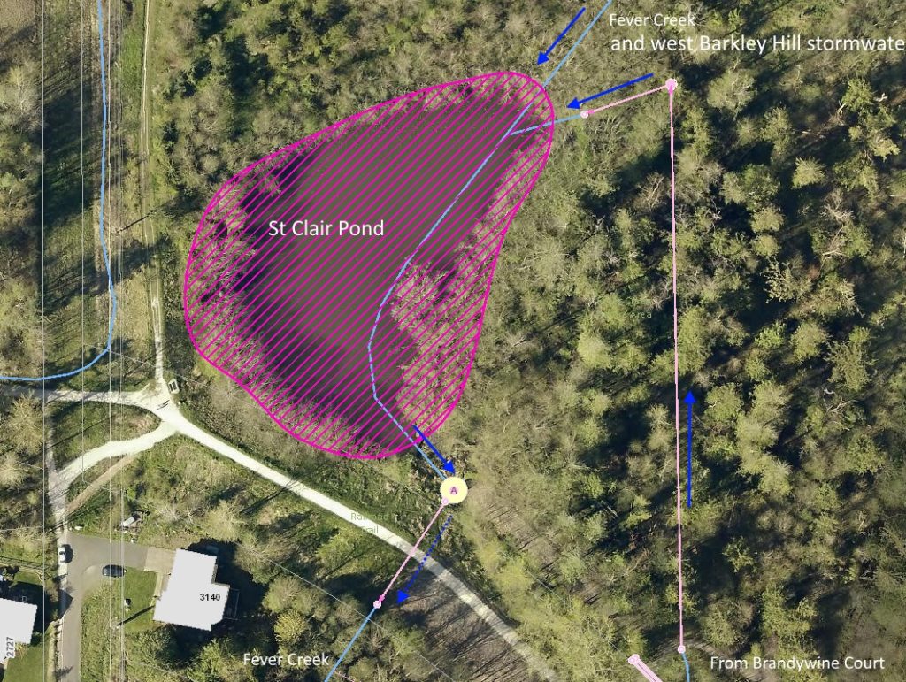 Stormwater from Barkley Hill, and runoff from Brandywine Court flows out of Fever Creek, into the pond, and eventually to Whatcom Creek. Pink lines are pipes draining this area to 3-acre St. Clair Pond.