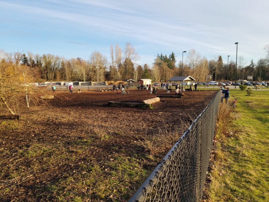 Dog parks can be a source of bacterial contamination to streams, lakes and Puget Sound. This area has an infiltration basin along the far fence to treat the water.