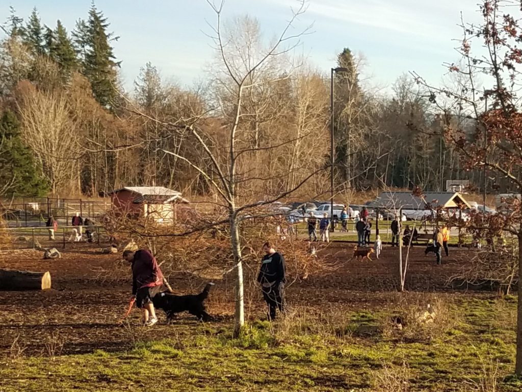 The Dog Park is a great place to exercise and socialize your dog. The infiltration basin in the Dog Park makes sure that water quality is protected.
