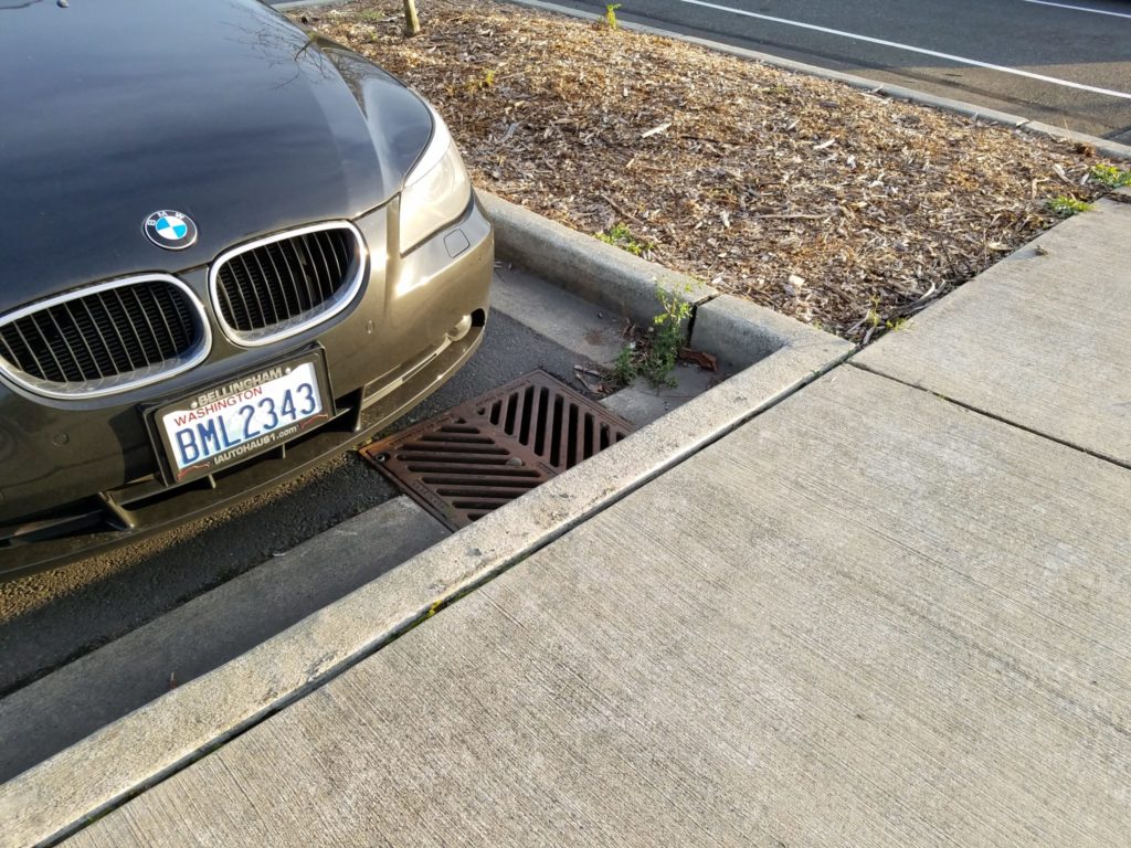 Oil and other vehicle leaks eventually flow into storm drains. Polluted runoff from the parking lot is treated by the rain gardens before flowing to Squalicum Creek.