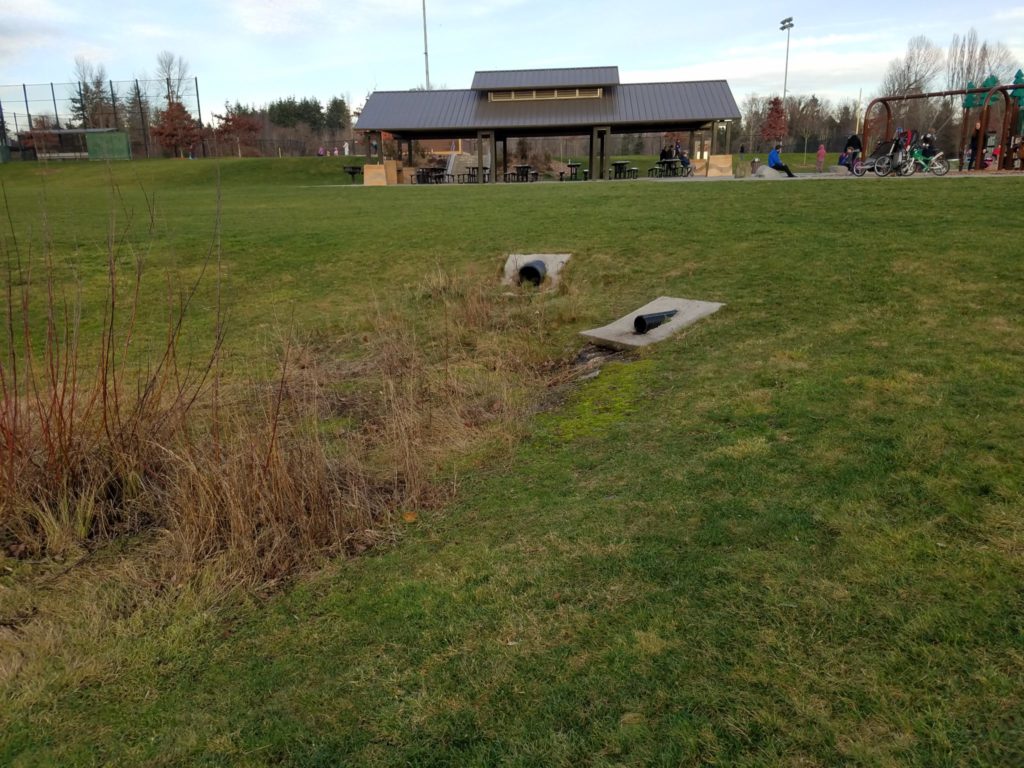Stormwater flows from the playground down to this infiltration basin with two inlets. Water that flows here is treated when it soaks into the ground. There is no drain.
