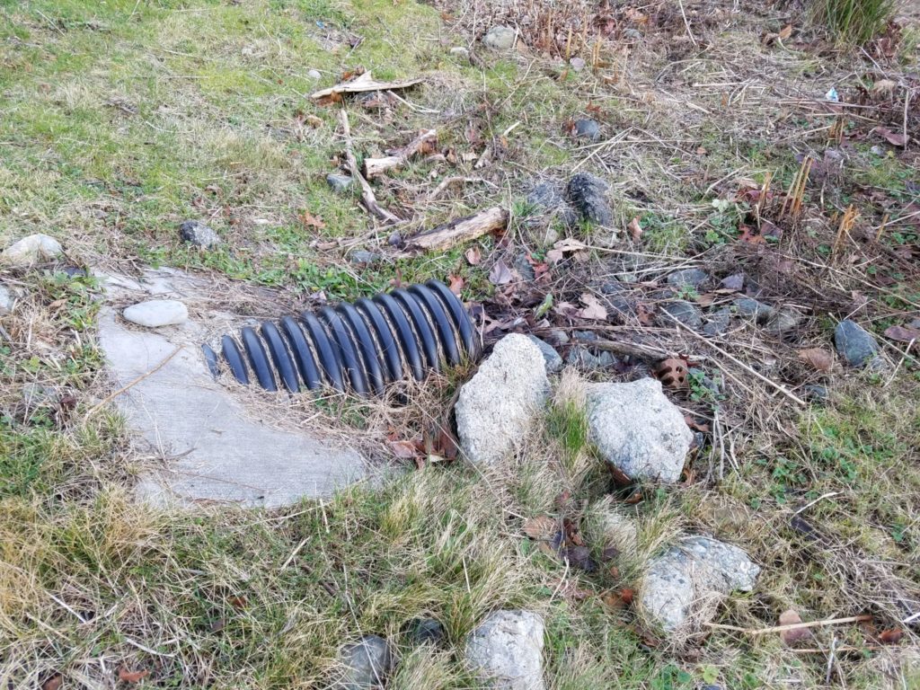 This is where the water enters the rain garden. The rocks on the sides in front of this pipe slow the runoff down – especially during large rain events.