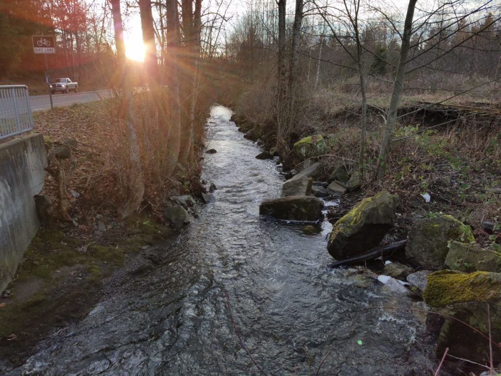 Squalicum Creek needs to be protected from the impacts of stormwater runoff from nearby streets, parks, and urban neighborhoods.