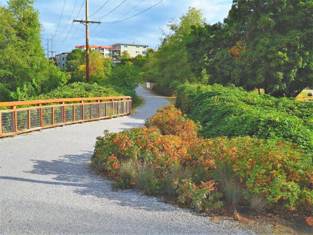 Near the entrance to the South Bay Trail this triangle-shaped rain garden drains and filters runoff with the help of native plantings and absorbent mulch.